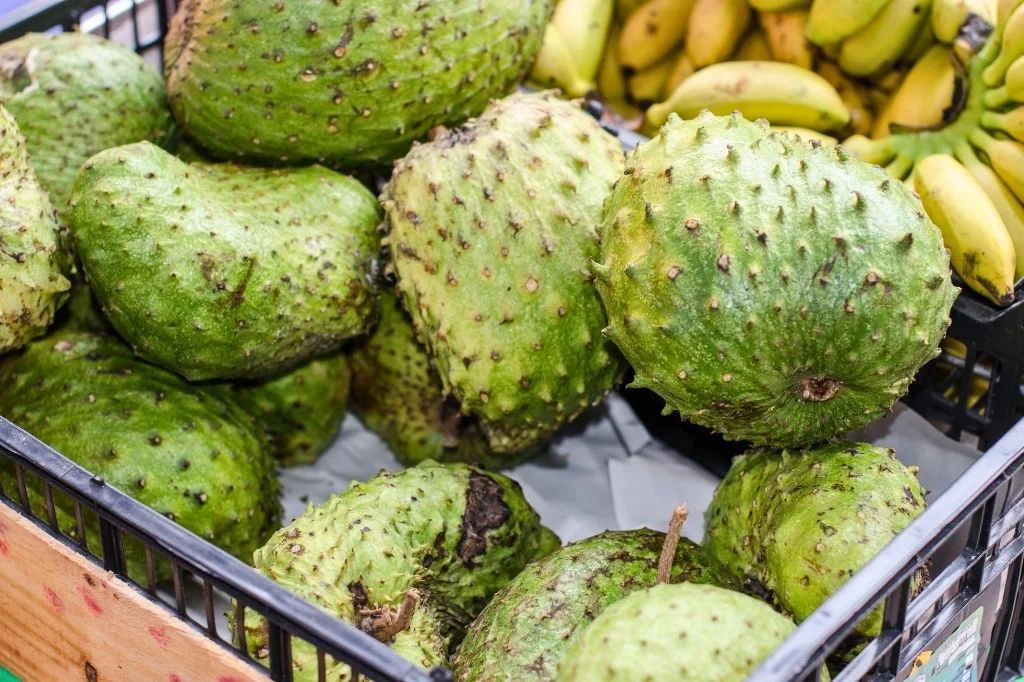 Creamy and velvety Sirsak as one of the tropical fruits in Bali